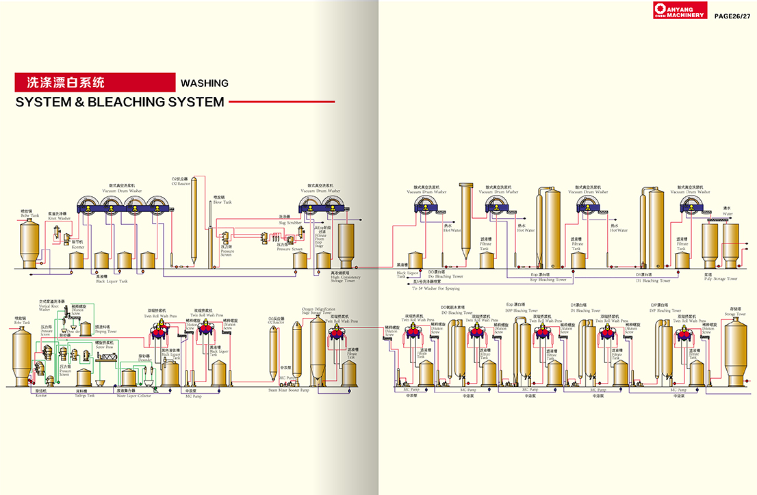 Washing and bleaching system